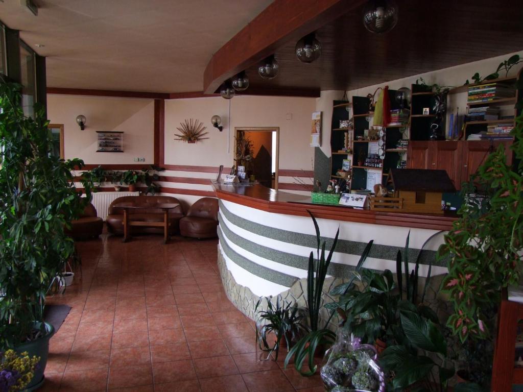 Hotel Silva Vatra Dornei Luaran gambar